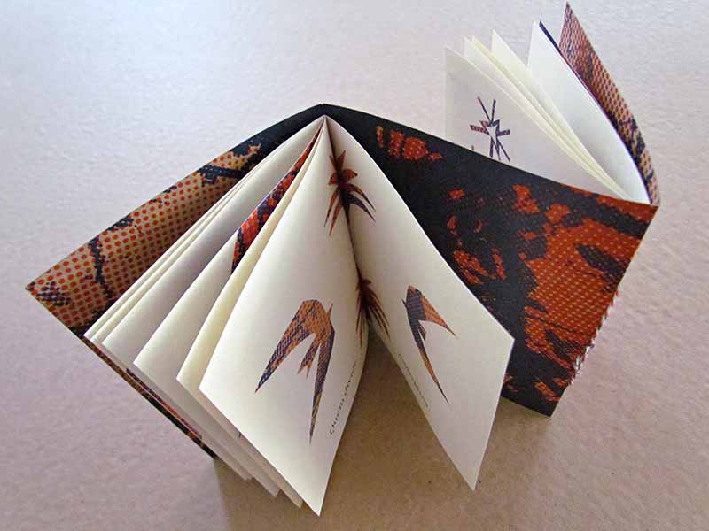 GF_Gilberto-Tomé_2em1ou1em2_vista-superior-01-web